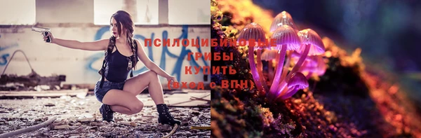 стаф Нефтекумск