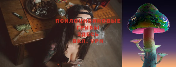 МДПВ Новодвинск